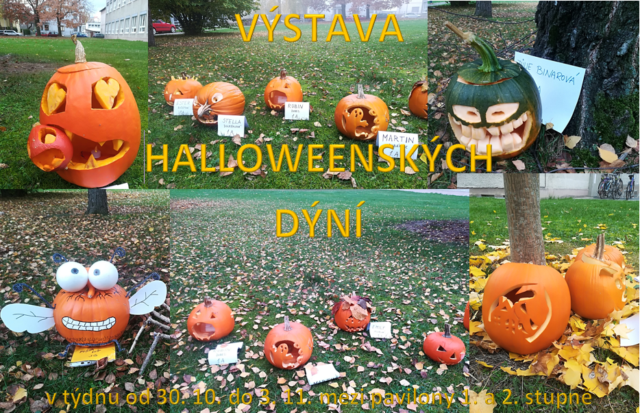 Výstava halloweenských dýní - výsledky 