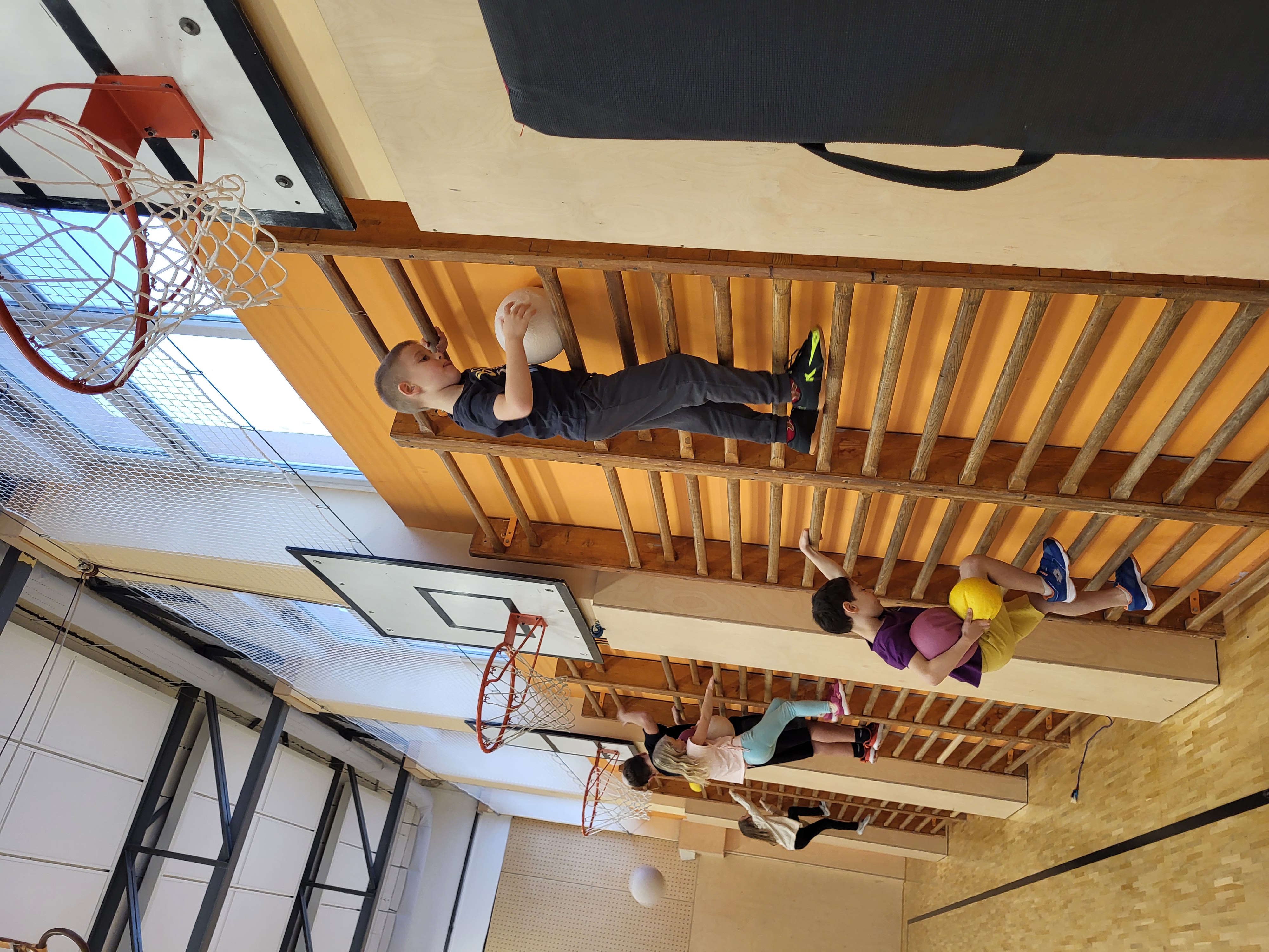 1000027826.jpg (3.54 MB)