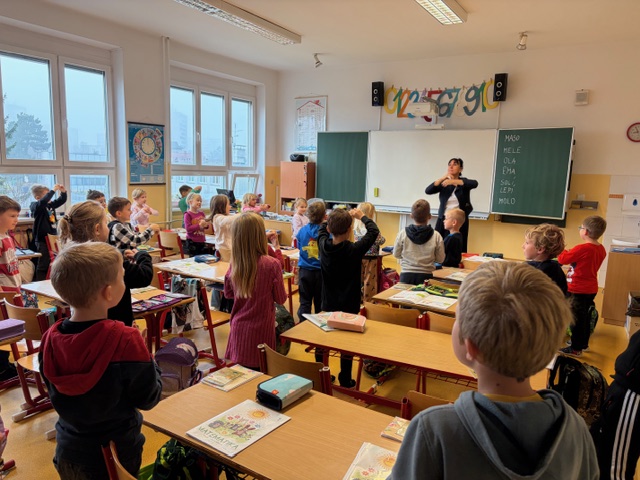 IMG_5281.jpeg (231 KB)