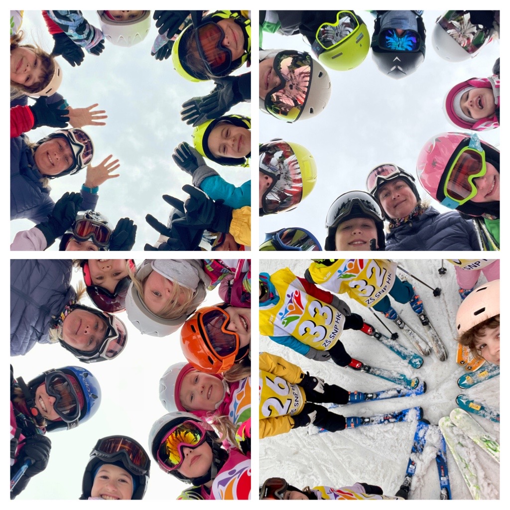 1D08CC9A-1D56-405B-8E50-DA3D3FB56A15-COLLAGE.JPG (329 KB)