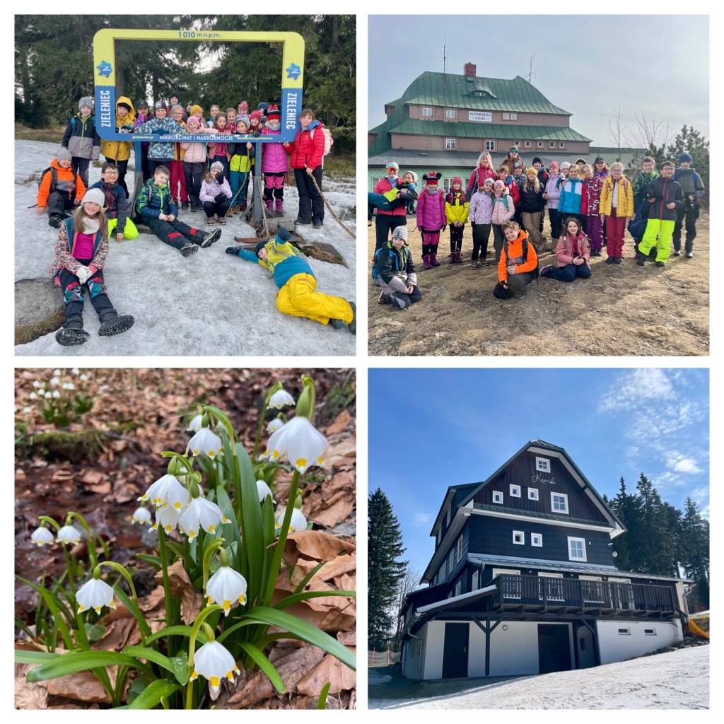 4967F94C-4EF8-43D2-9F2E-6D2A14ED740C-COLLAGE.JPG (382 KB)