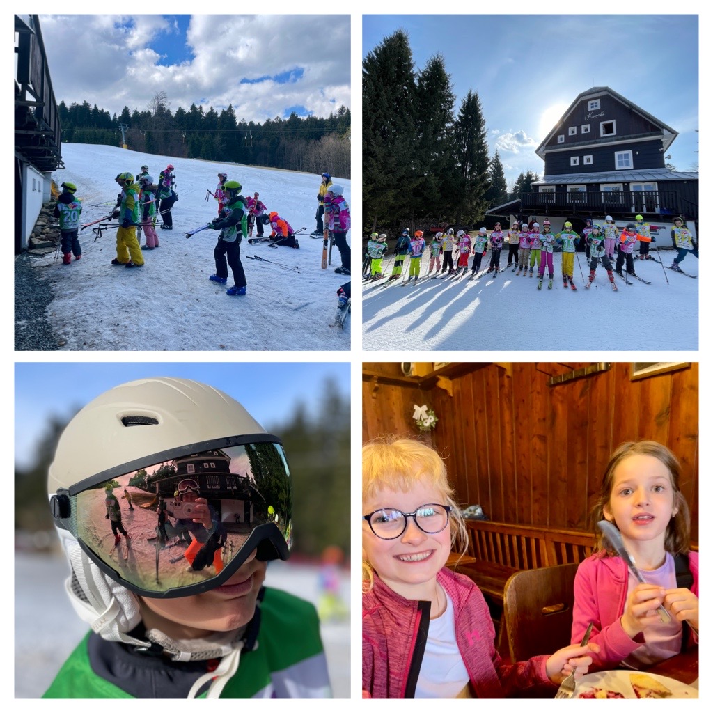 56C71D37-4829-4F4B-B3EF-D714C50495CD-COLLAGE.JPG (304 KB)