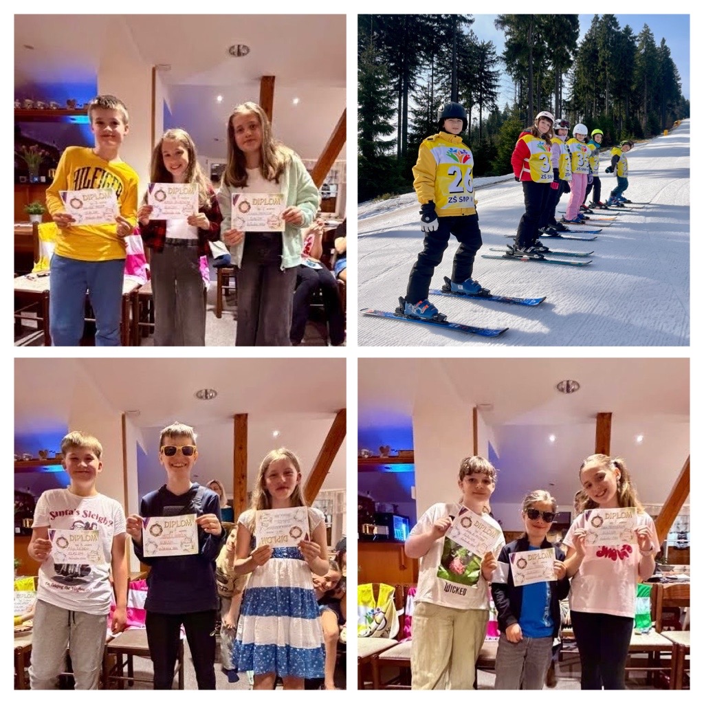 6EE1D9E9-2B29-4122-A686-803923B8B2FA-COLLAGE.JPG (328 KB)