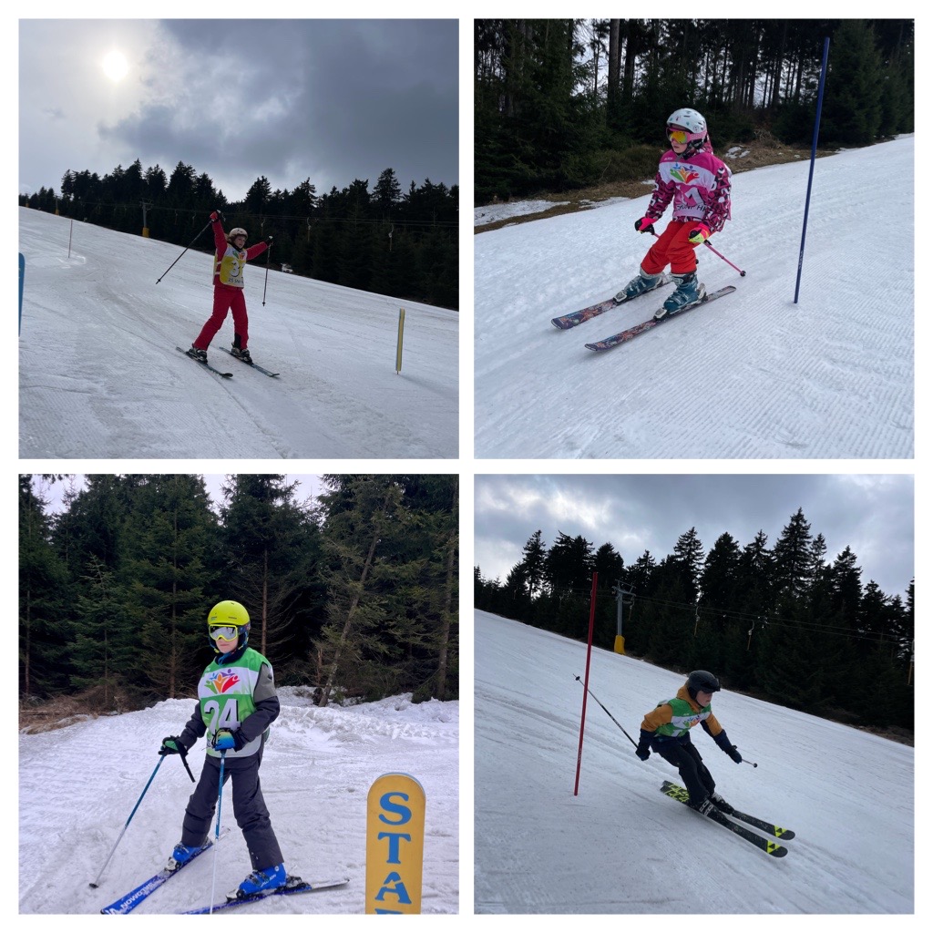 B873A464-941D-4831-9E05-60391362A2F8-COLLAGE.JPG (295 KB)