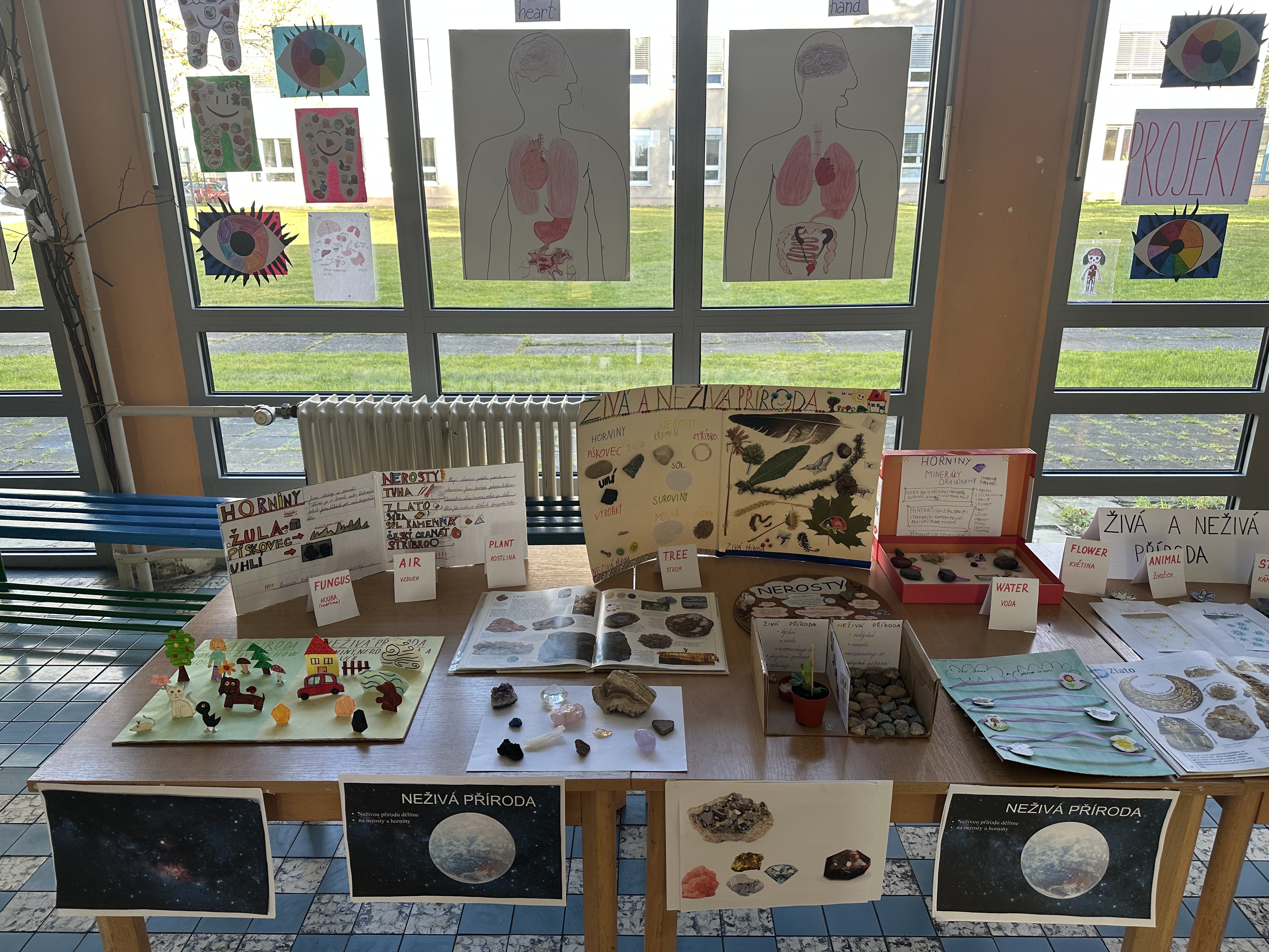 IMG_4348.jpeg (3.21 MB)