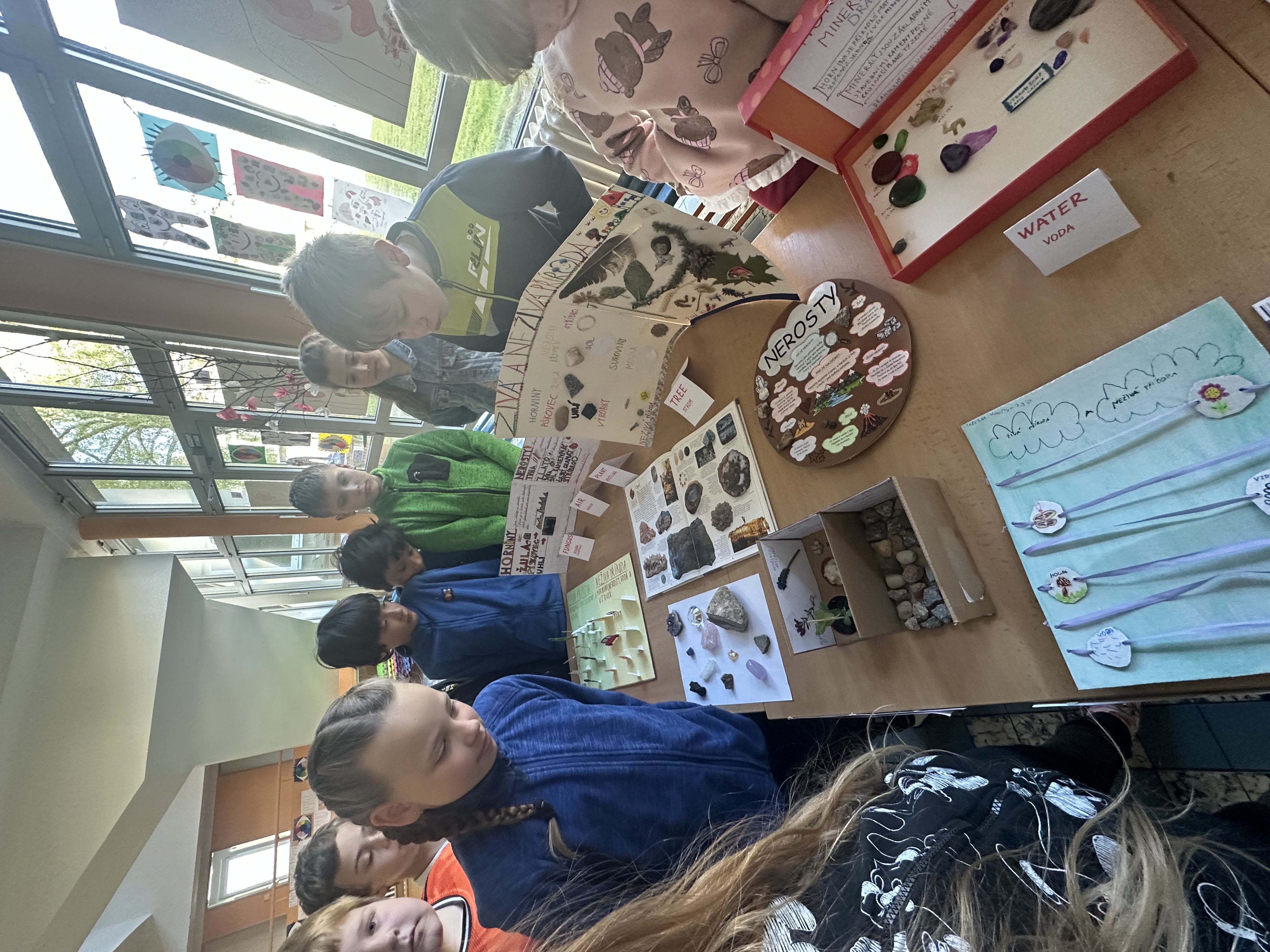 IMG_4355.jpeg (2.52 MB)