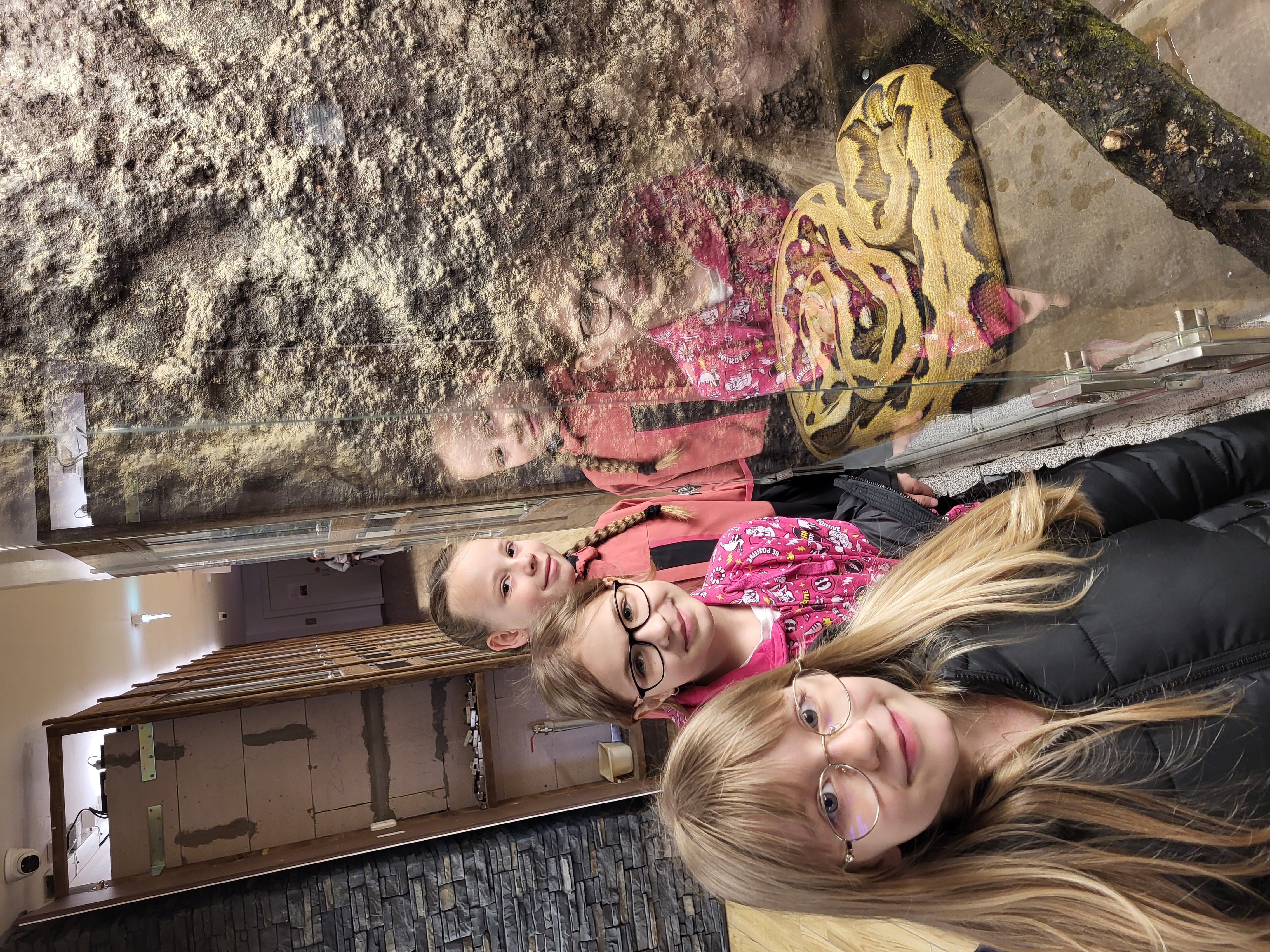 1000032133.jpg (5.04 MB)