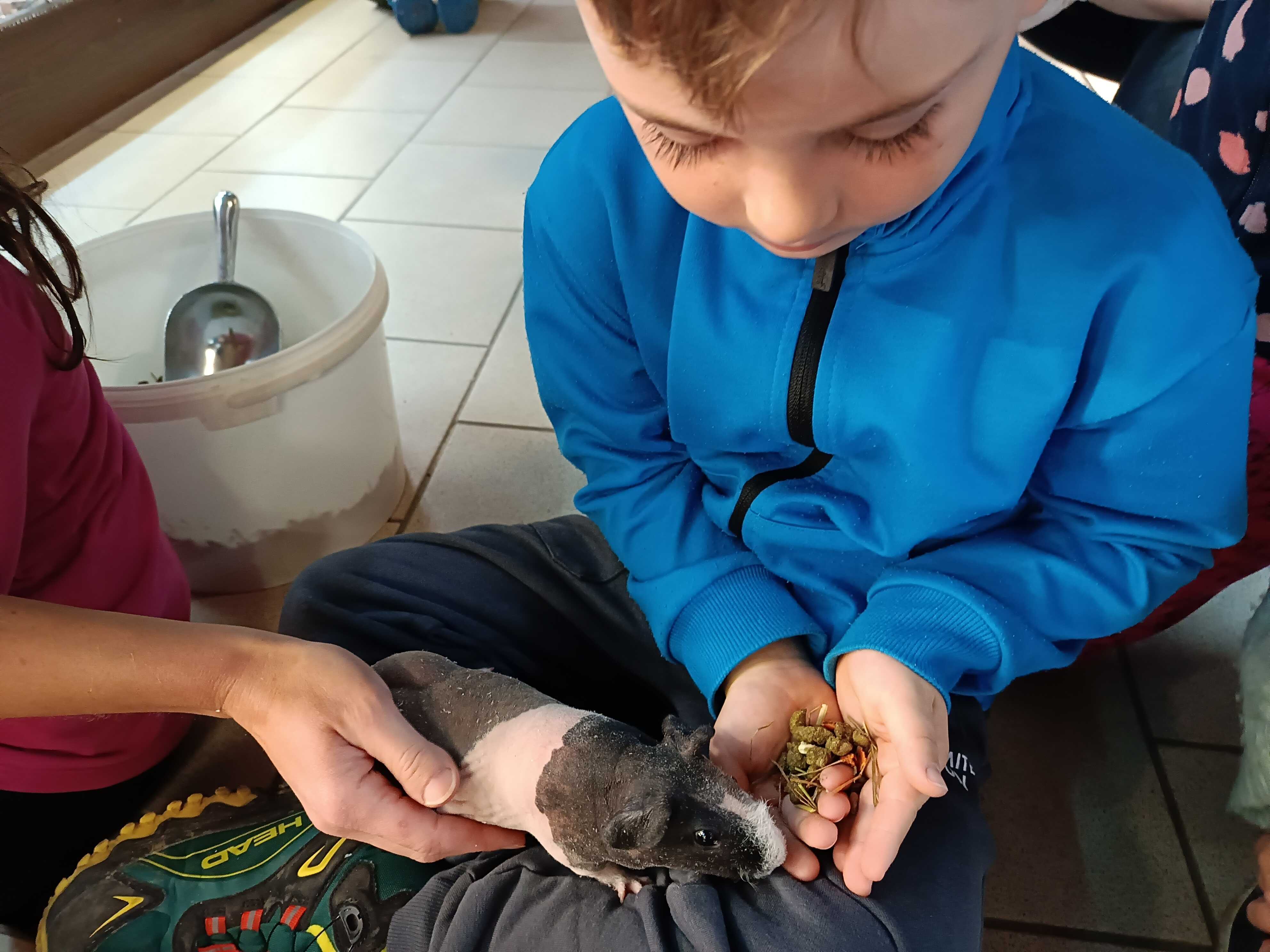 img_20251030_093449_665@-330719930-(1)_optimized.jpg (434 KB)